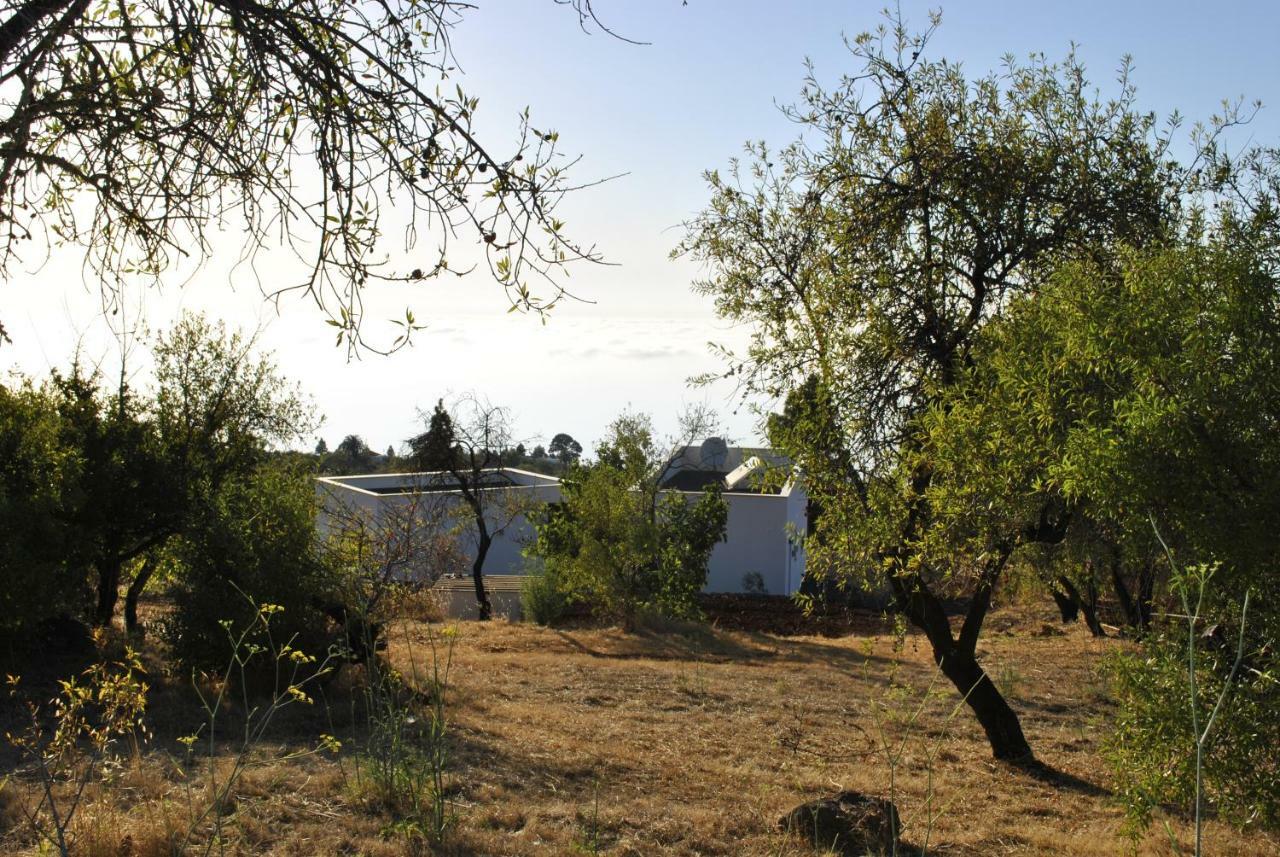 Villa Horizonte Puntagorda  Bagian luar foto